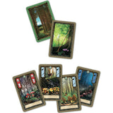 Fungi Cards