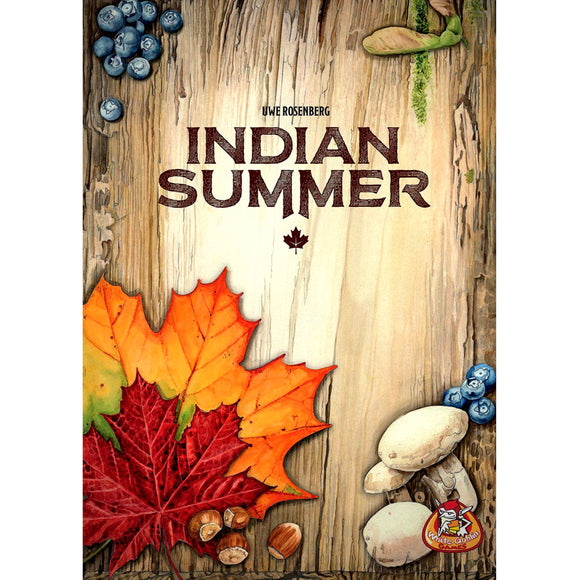 Indian Summer Cover