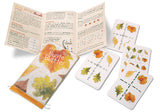 NSV Bunte Blätter nemška izdaja igre Colorful Leaves  - Družabna igra s pisanimi karticami- Igra s kartami za 8+ let, 10 min, 2-4 igralce