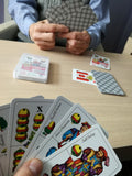 Igranje NSV družabne igre s kartami Šnops nemške karte
